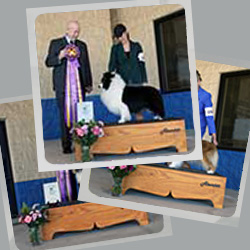 2026 Specialty Show Photos